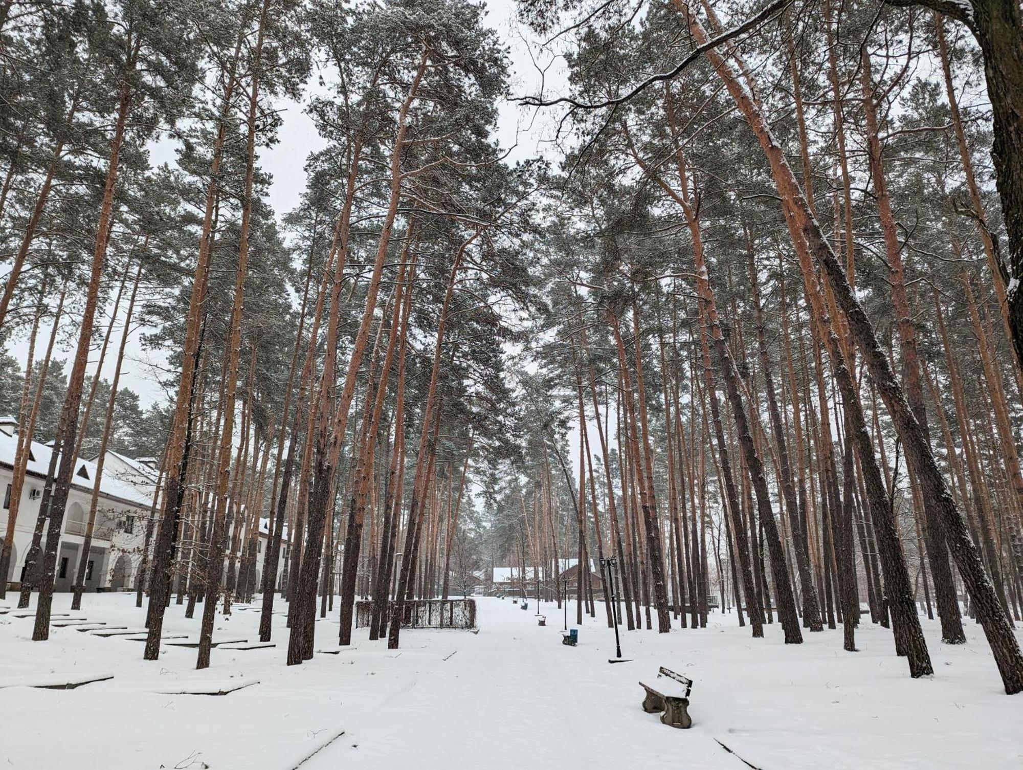 Отель Заміський комплекс Пуща Лісна Moschun Экстерьер фото